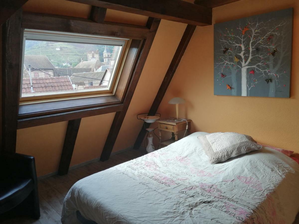 Gite Les Papillons Ribeauville  Bagian luar foto